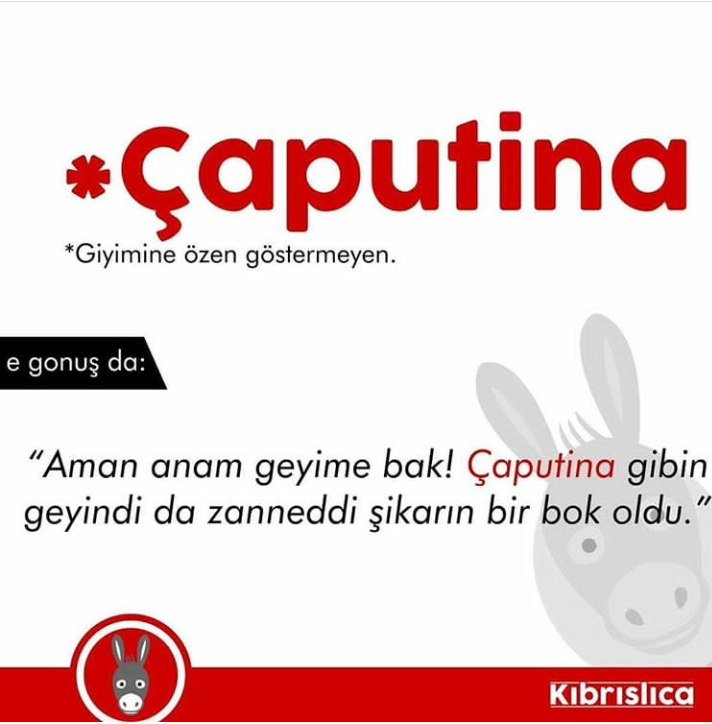 Sadece Kıbrıslıların bildiği 20 kelime. Siz kaçını biliyorsunuz ? galerisi resim 5