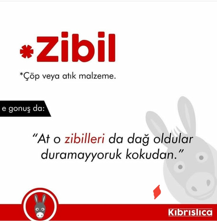 Sadece Kıbrıslıların bildiği 20 kelime. Siz kaçını biliyorsunuz ? galerisi resim 8