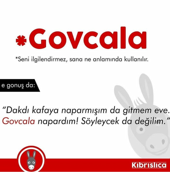 Sadece Kıbrıslıların bildiği 20 kelime. Siz kaçını biliyorsunuz ? galerisi resim 9