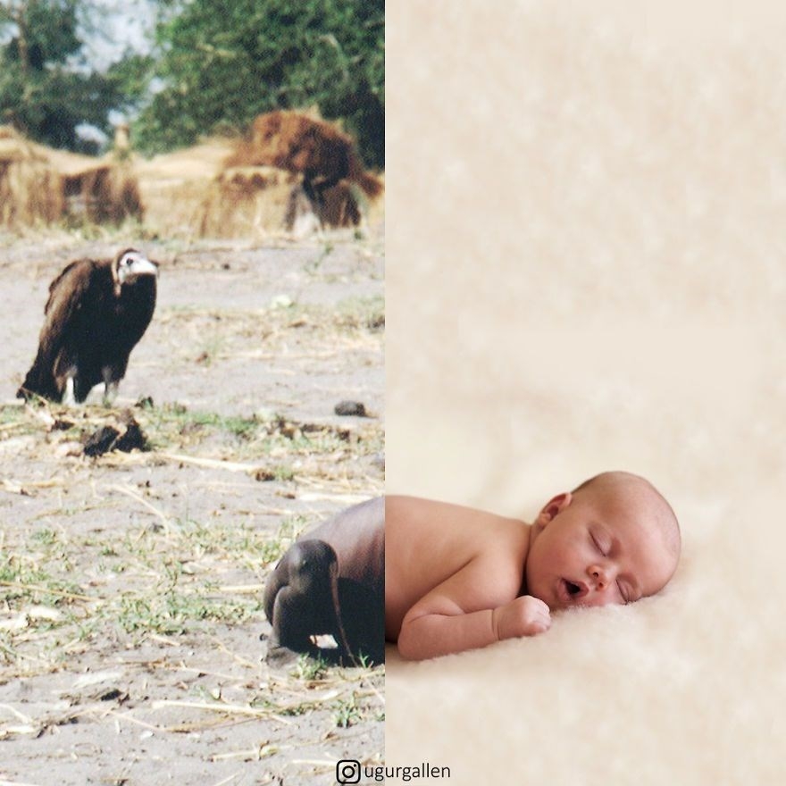 Tek karede ,Adaletsizlik nedir ? galerisi resim 8