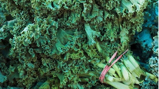 Avokado ve kale bitkisi neden ün kazandı? galerisi resim 3