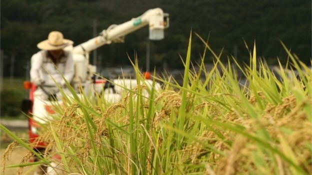 Uzun ve sağlıklı yaşamın sırrı bol karbonhidrat ve az protein mi? galerisi resim 4