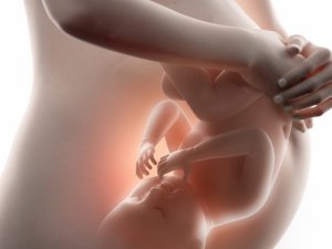 Tüp bebek ile doğal bebek arasındaki fark nedir ?  Sağlık açısından sıkı
