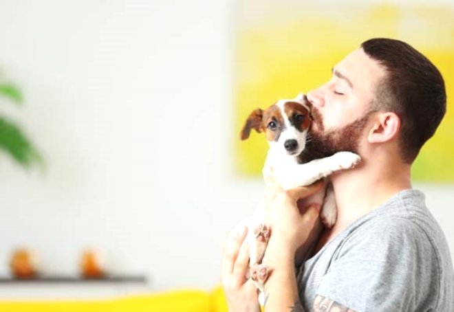 Bilim İnsanları: Köpekler Sakallı Erkeklerden Daha Temiz galerisi resim 2