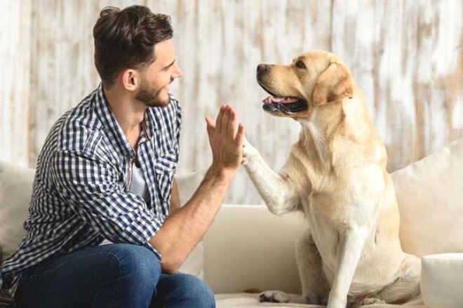 Bilim İnsanları: Köpekler Sakallı Erkeklerden Daha Temiz galerisi resim 3