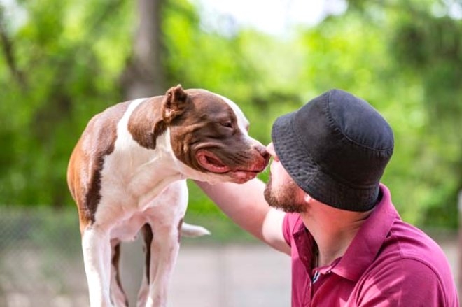 Bilim İnsanları: Köpekler Sakallı Erkeklerden Daha Temiz galerisi resim 4