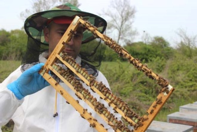 Bir damlası bile her derde deva! Kilosu 6 bin lira galerisi resim 6