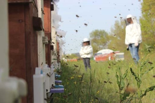 Bir damlası bile her derde deva! Kilosu 6 bin lira galerisi resim 7