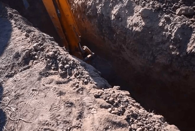 Savaşta ölen Kıbrıslı Türk'ün midesindeki çekirdekten incir ağacı y galerisi resim 1