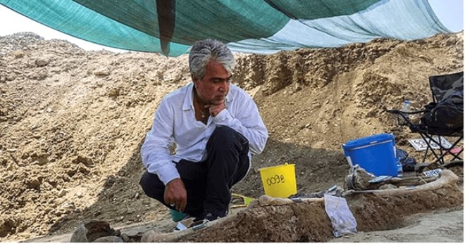 Savaşta ölen Kıbrıslı Türk'ün midesindeki çekirdekten incir ağacı y galerisi resim 6