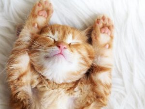 Sıcak havalarda rahat uyuyabilmek  neler yapılabilir?