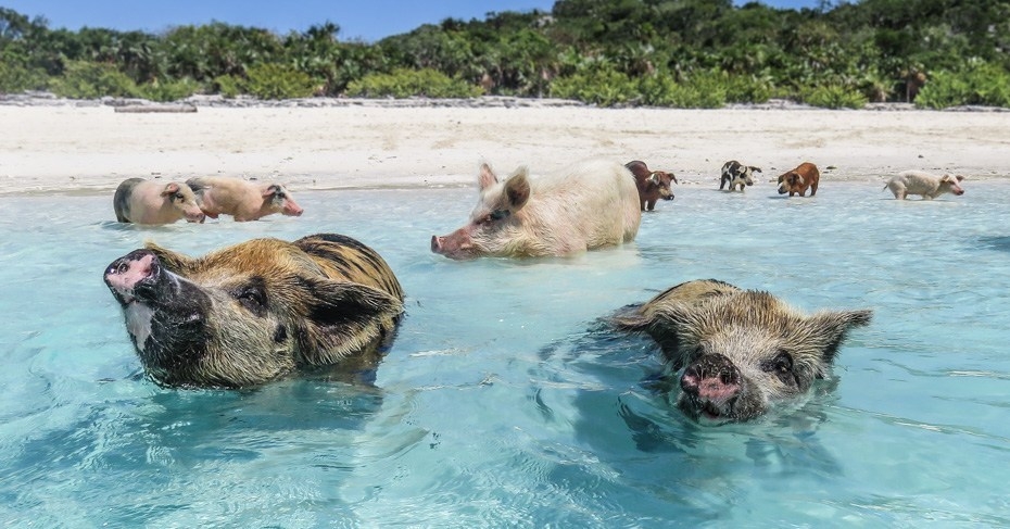 Dünyanın en iyi sahilleri: Kıbrıs'tan da bir sahil listede galerisi resim 2