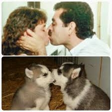 Öpüşmenin Evrim Tarihi: İnsanlar Neden Öpüşür? galerisi resim 4