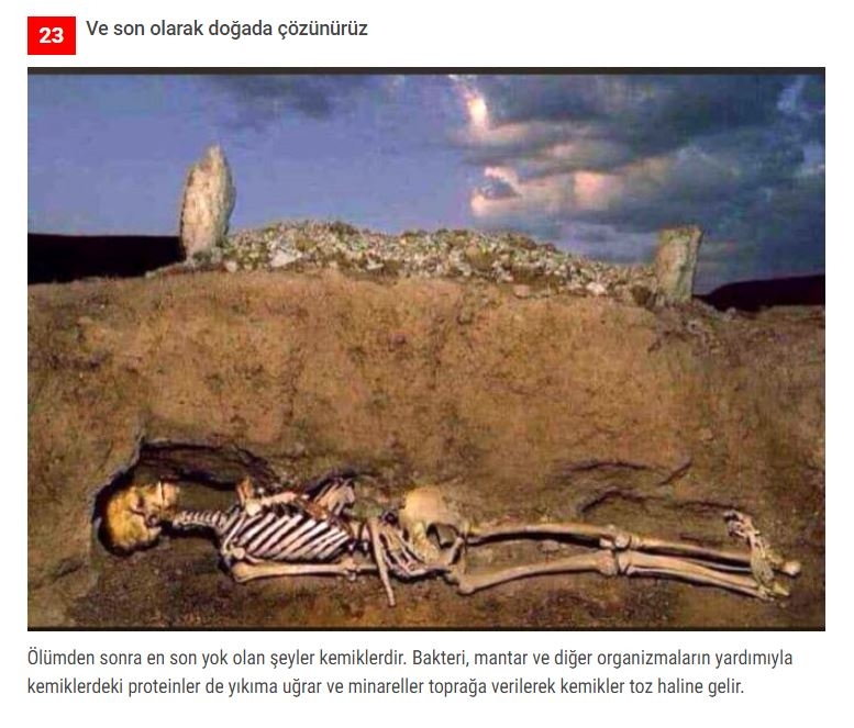 Öldükten sonra vücudunuzda olacak 25 akılalmaz şey! galerisi resim 10