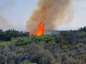 Kantara'da yangın.. Bilanço ağırlaşıyor...