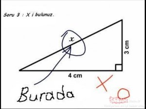 Sınav kağıtlarına verilen komik cevaplar!