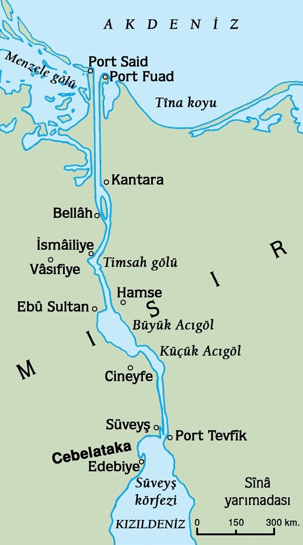 Sahillerimizdeki  insan sağlığı için tehlikeli 10 türe dikkat galerisi resim 10