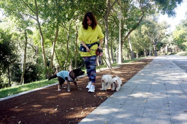 Köpek gezdirerek ayda 5-6 bin lira kazanıyorlar galerisi resim 1