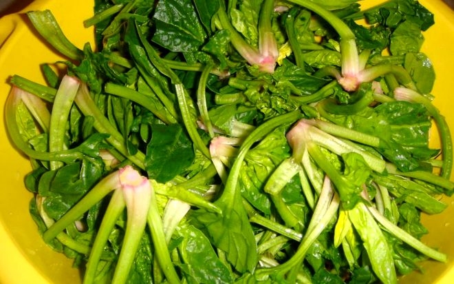 Ispanak yerken dikkat! Hastaneler zehirlenme vakası ile dolup taştı galerisi resim 1