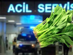 Ispanak yerken dikkat! Hastaneler zehirlenme vakası ile dolup taştı