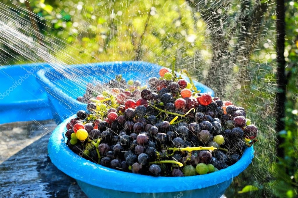Sebze ve meyveleri doğru yıkama yöntemleri galerisi resim 3