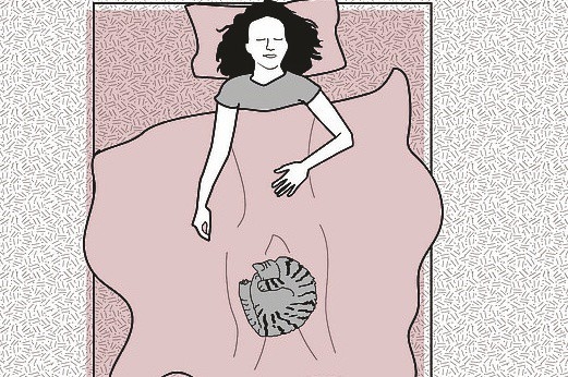 Evcil hayvanınızın uyku pozisyonu karakterini ele veriyor! galerisi resim 3