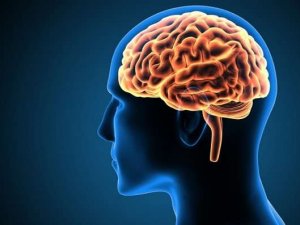 Zihnin 'aşırı' kullanılması yaşam süresini kısaltabilir