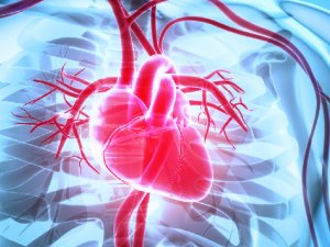 Sağlıksız bir kalbin  belirtileri