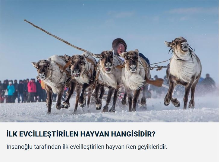 Dünyanın en uzun trafik sıkışıklığı kaç gün sürdü ? galerisi resim 11