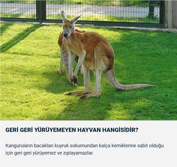 Dünyanın en uzun trafik sıkışıklığı kaç gün sürdü ? galerisi resim 9