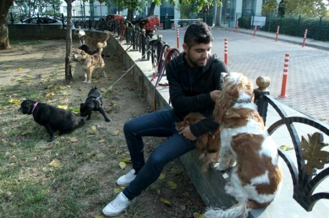 Mesleğini bırakıp bu işe girdi! günde 4 saat gezip para kazanıyor galerisi resim 3