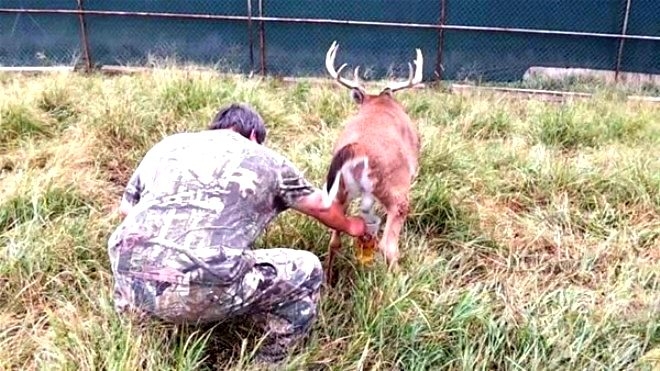 Bu işi yaparak 300 bin dolar kazanıyorlar! galerisi resim 1