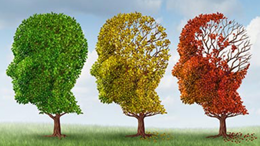 Alzheimer hastalığının en sık görülen 10 belirtisi galerisi resim 9