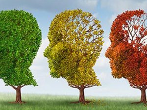 Alzheimer hastalığının en sık görülen 10 belirtisi