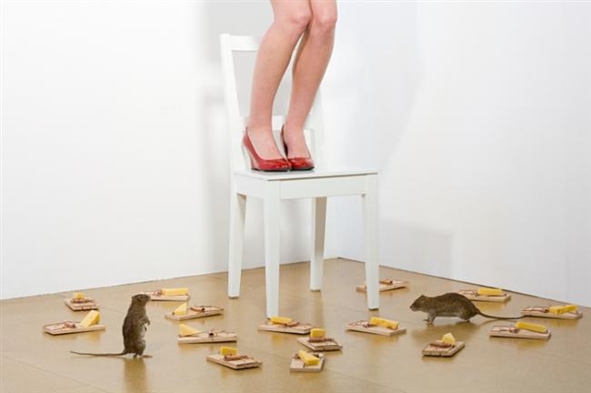 25 Yaşınızdan önce yapmanız gereken 25 şey galerisi resim 5