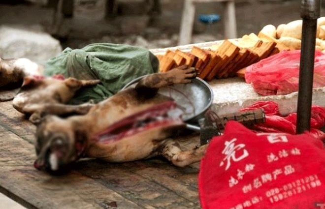 25 can aldı, hızla yayılıyor! İşte katil virüsün yayıldığı pazar! galerisi resim 10