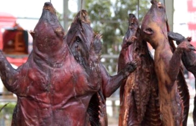 25 can aldı, hızla yayılıyor! İşte katil virüsün yayıldığı pazar! galerisi resim 5