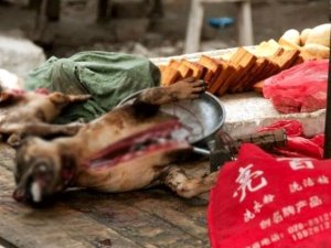 25 can aldı, hızla yayılıyor! İşte katil virüsün yayıldığı pazar!