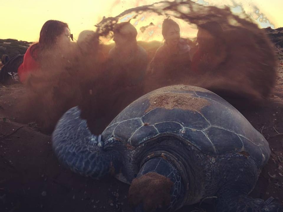 SPOT gönüllüler arıyor galerisi resim 4