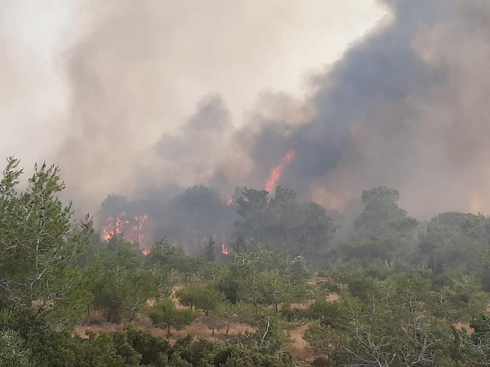 Kuzey Kıbrıs yanıyor, inanılmaz görüntüler galerisi resim 3