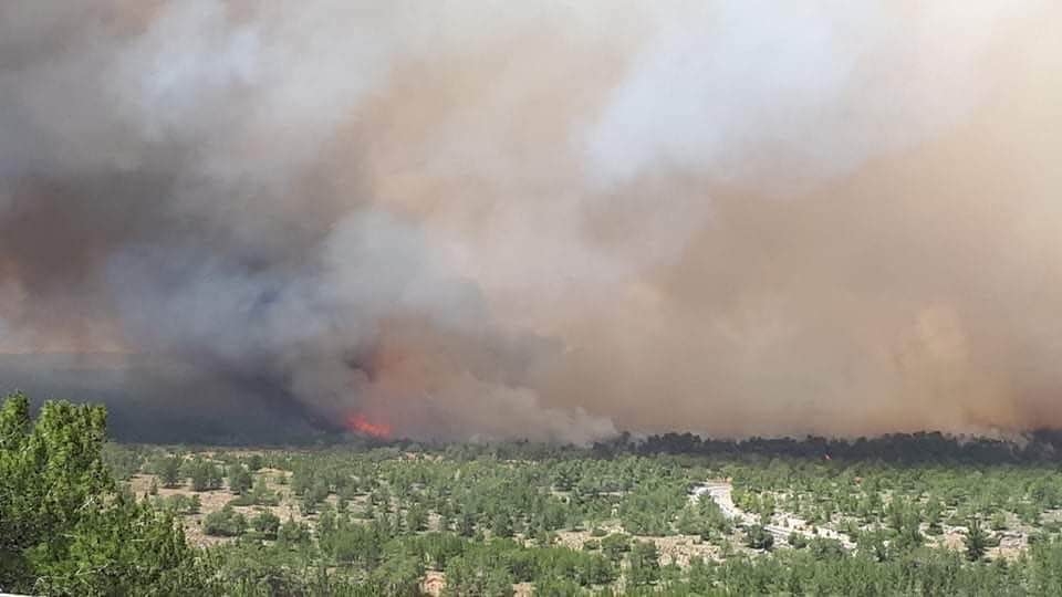 Kuzey Kıbrıs yanıyor, inanılmaz görüntüler galerisi resim 7