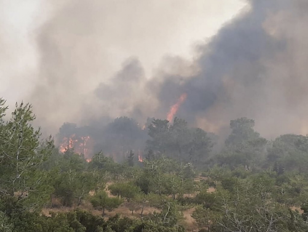 Yangından fotoğraflar galerisi resim 11