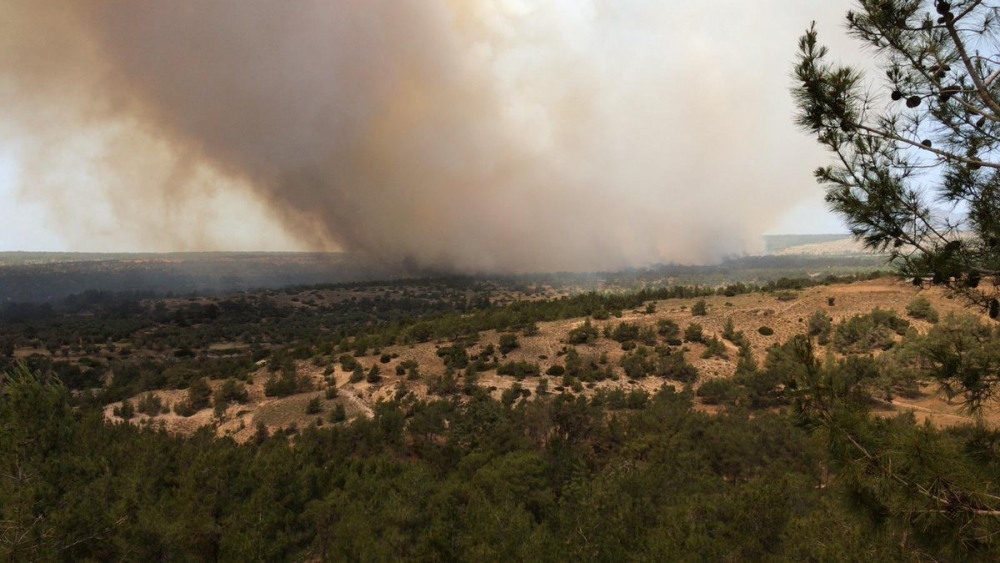 Yangından fotoğraflar galerisi resim 2