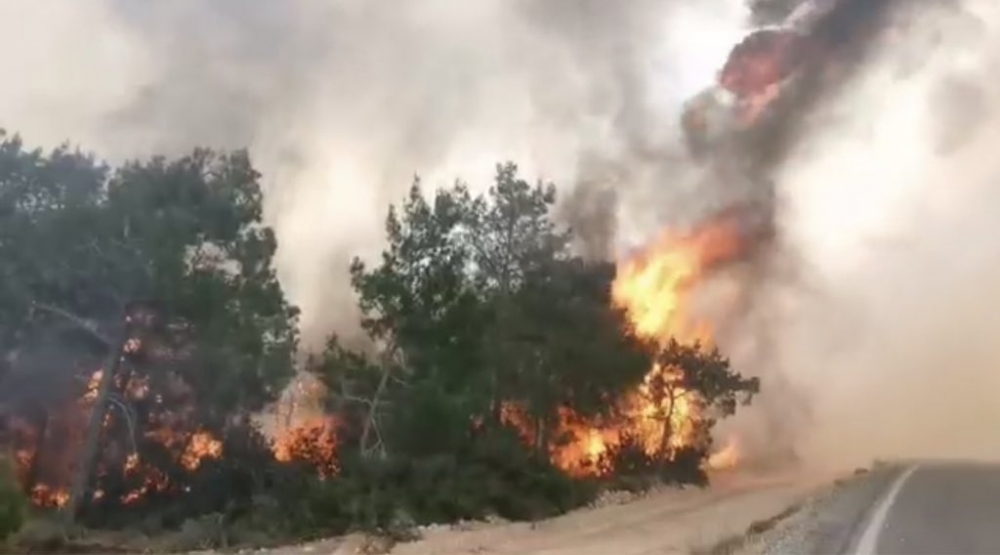 Yangından fotoğraflar galerisi resim 3