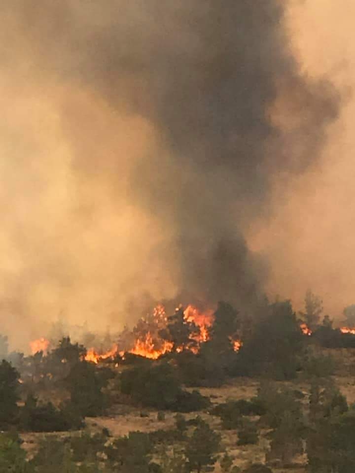 Yangından fotoğraflar galerisi resim 5