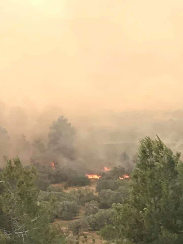 Yangından fotoğraflar galerisi resim 6