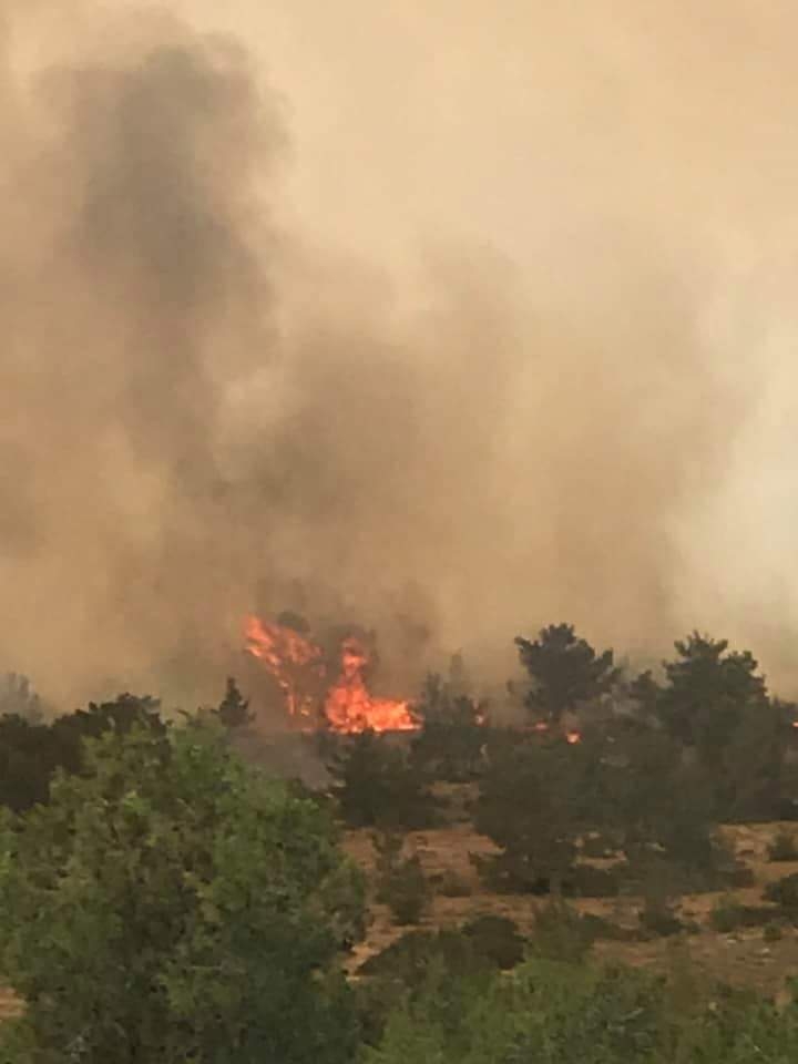 Yangından fotoğraflar galerisi resim 7