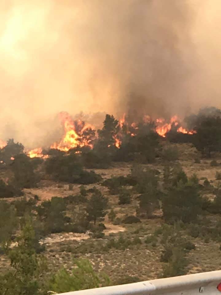 Yangından fotoğraflar galerisi resim 8