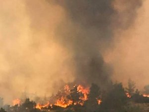 Yangından fotoğraflar