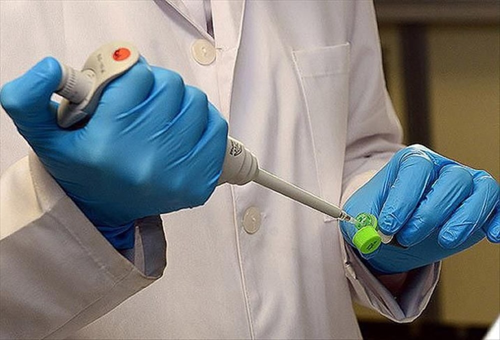 Corona virüs yarasaları neden öldürmüyor? İşte bilimin yanıtı galerisi resim 11